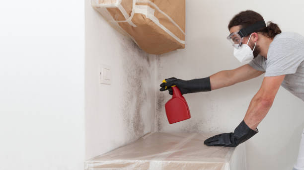 Professional Mold Cleanup technician working in Succasunna, NJ