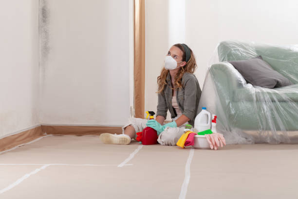 Reliable Mold Cleanup contractor in Succasunna, NJ by Cheap Mold Removal